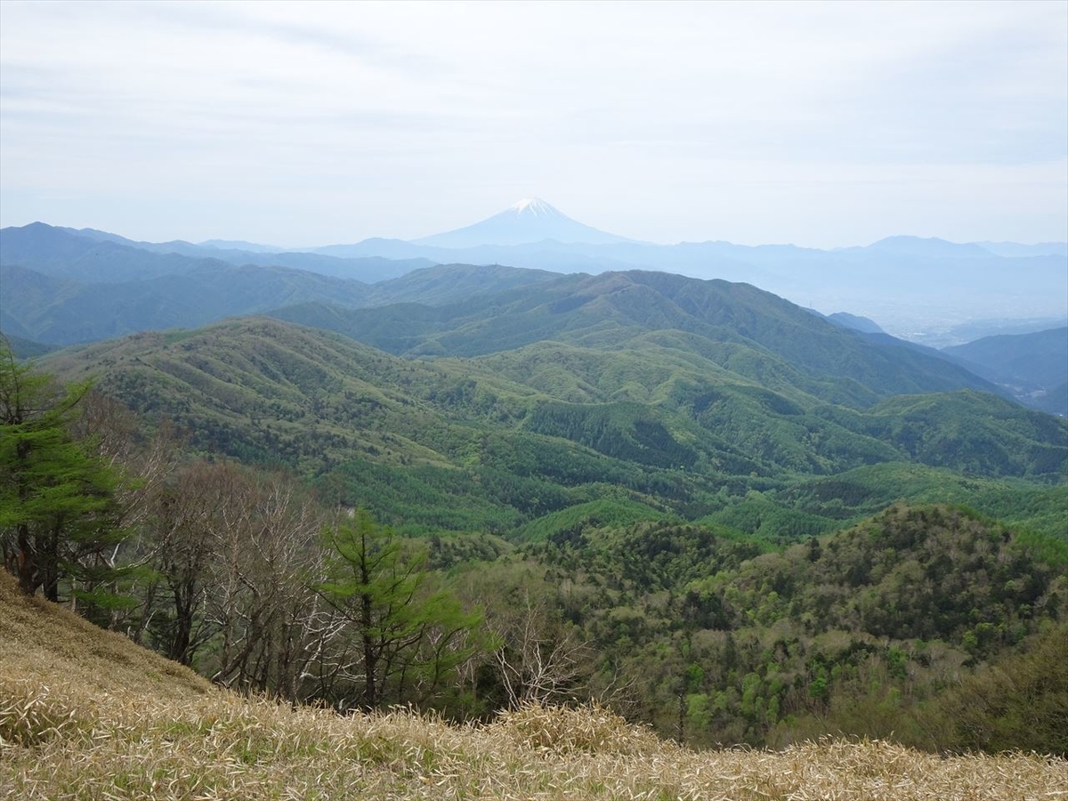 f:id:tachan_1994:20210524102503j:plain