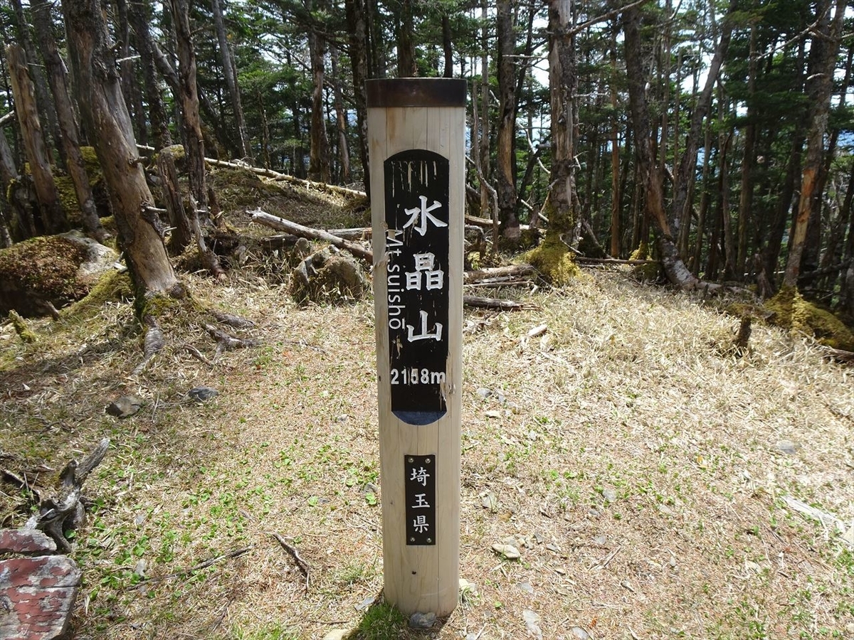 f:id:tachan_1994:20210524111907j:plain