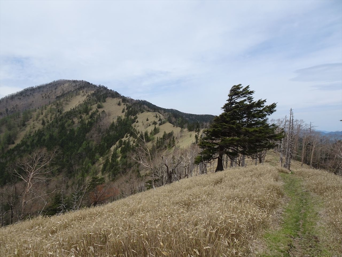 f:id:tachan_1994:20210524113803j:plain