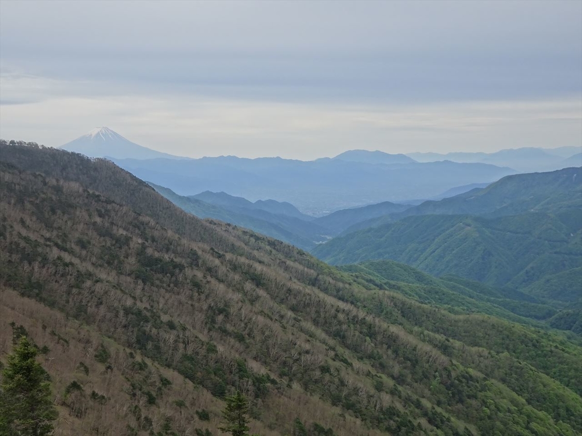 f:id:tachan_1994:20210524120955j:plain