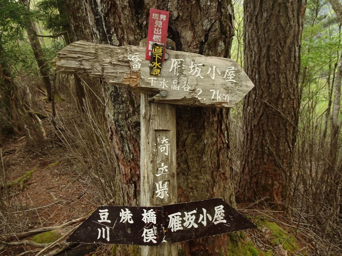 f:id:tachan_1994:20210524133414j:plain