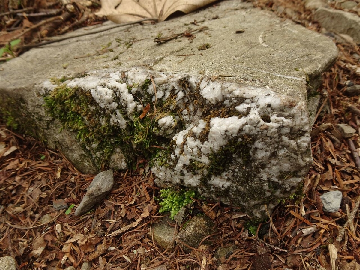 f:id:tachan_1994:20210524133714j:plain