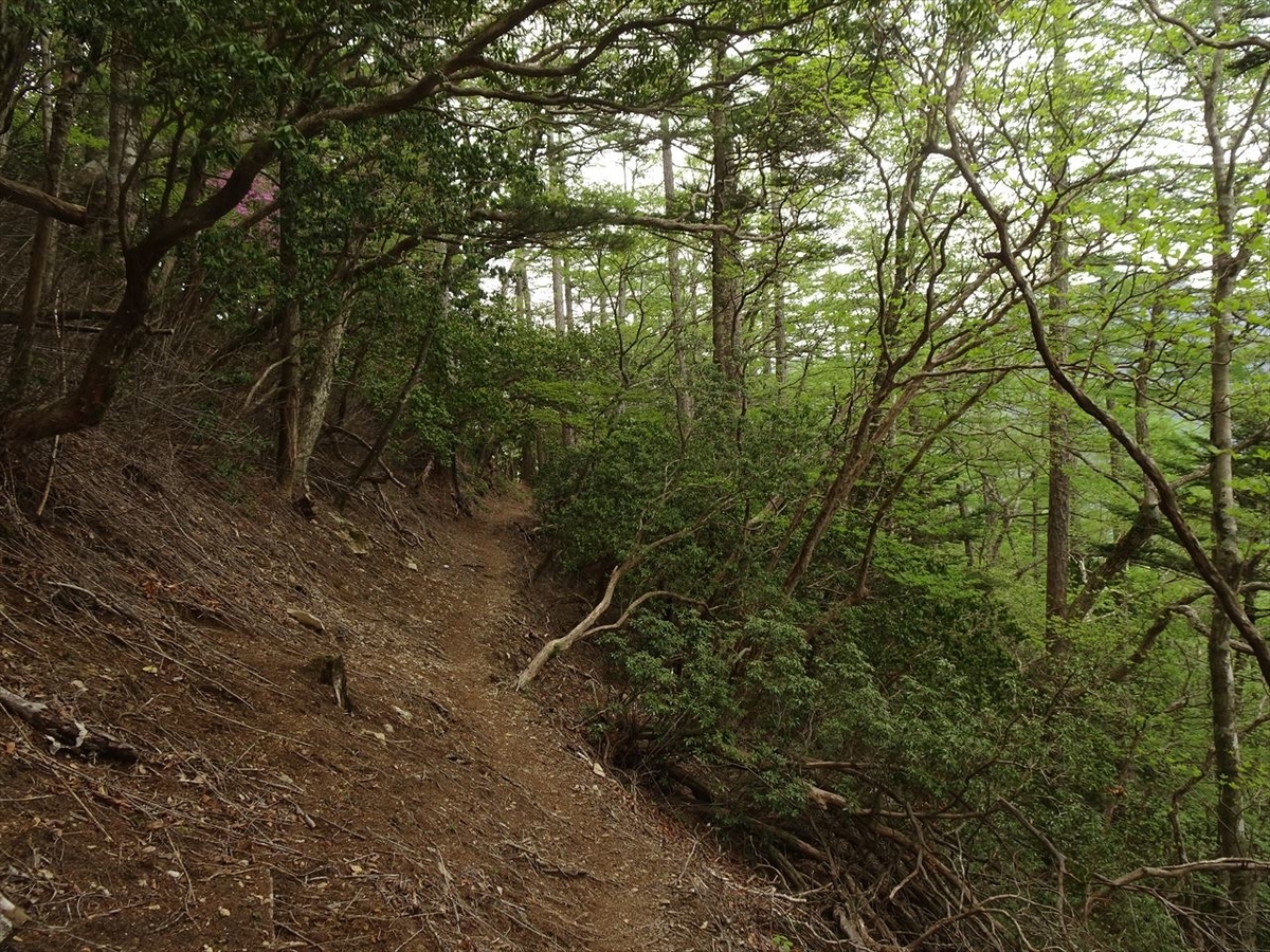 f:id:tachan_1994:20210524134234j:plain