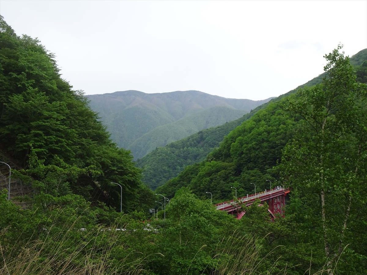 f:id:tachan_1994:20210524150936j:plain