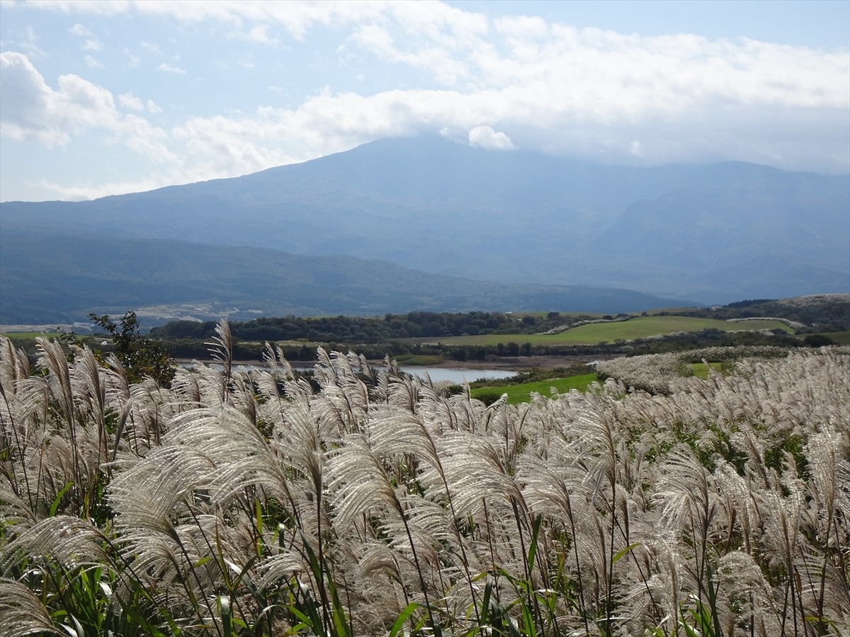 f:id:tachan_1994:20211010105814j:plain