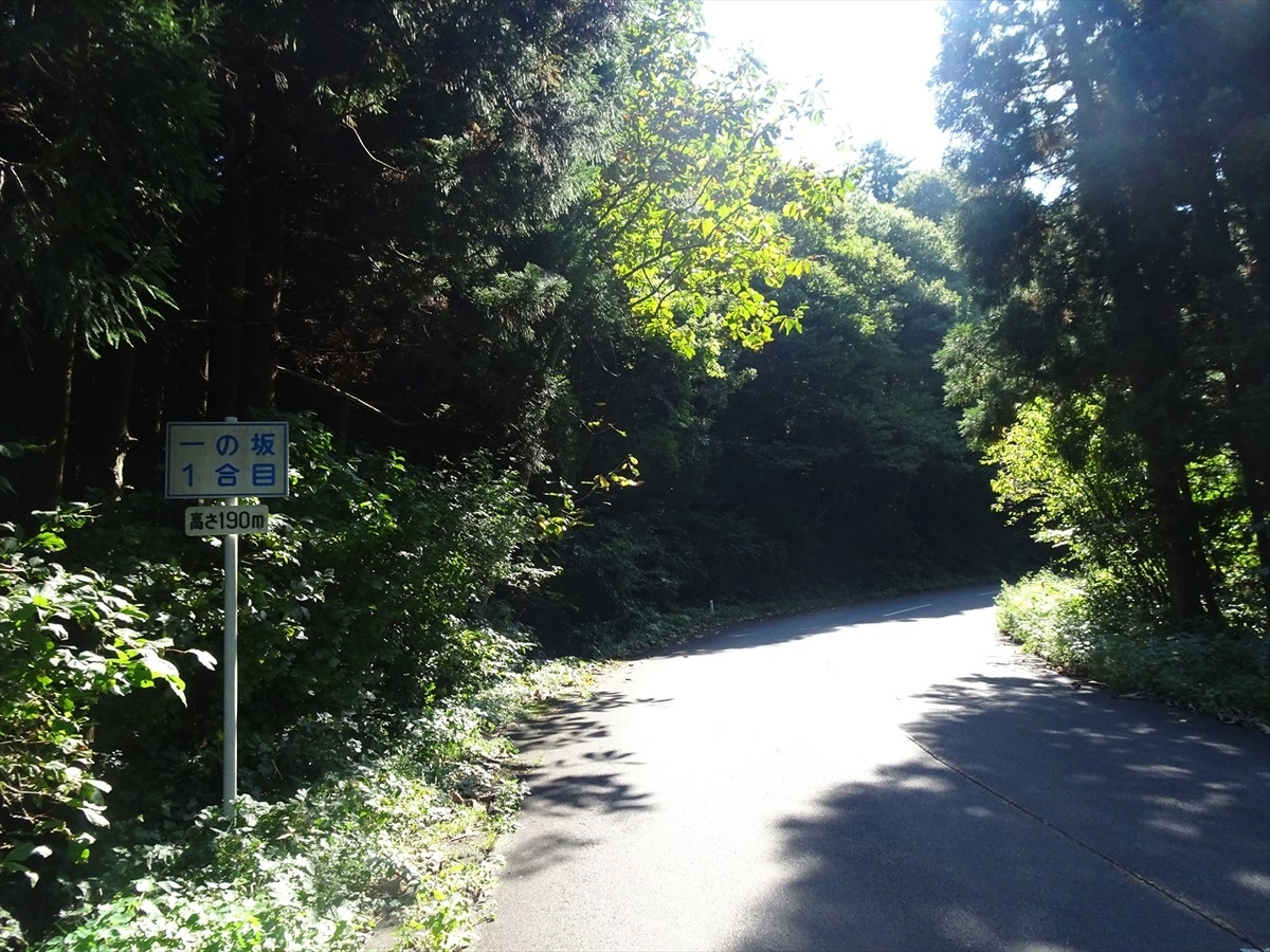 f:id:tachan_1994:20211010113644j:plain