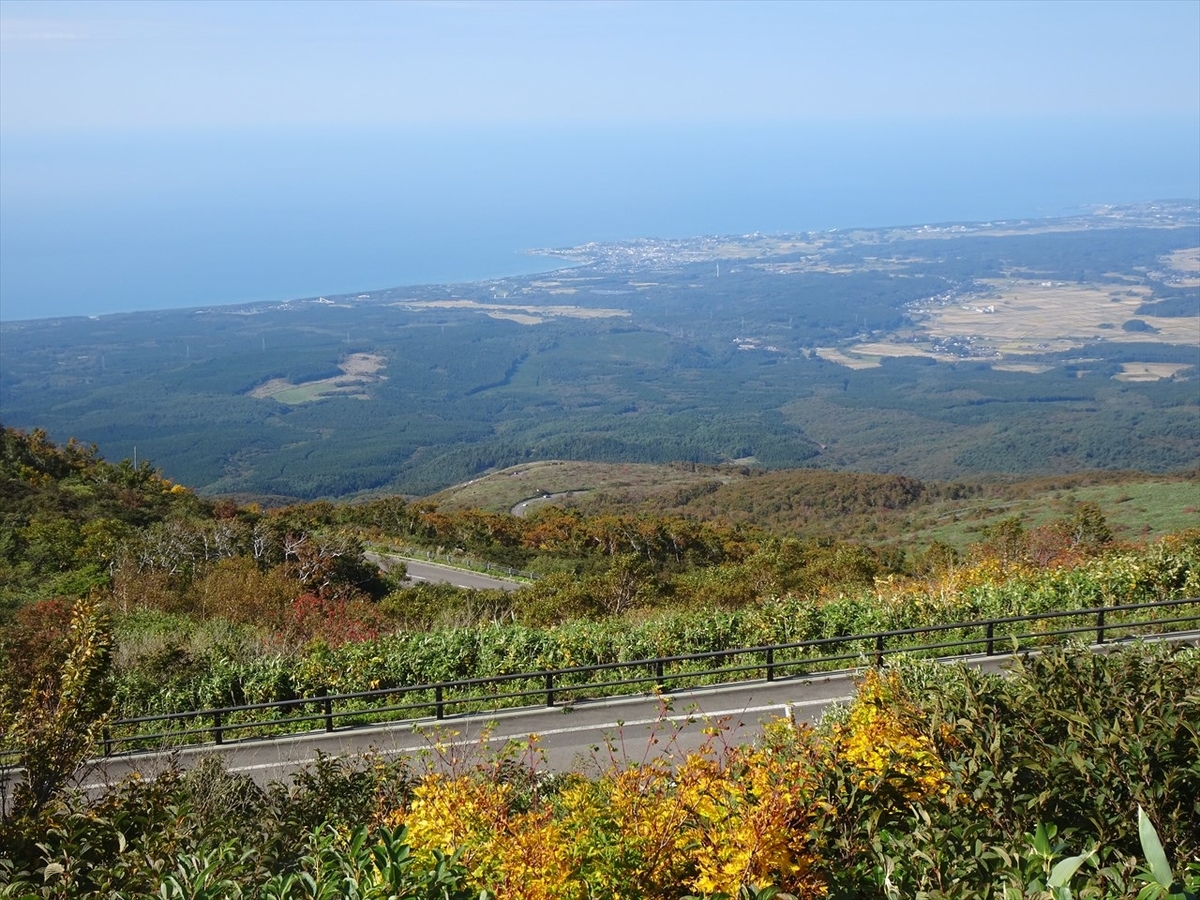 f:id:tachan_1994:20211010131117j:plain