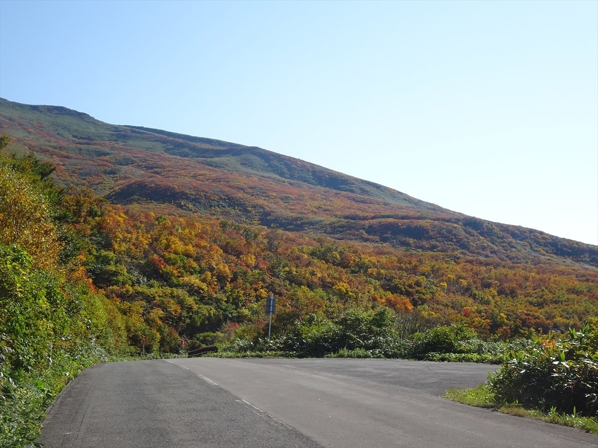 f:id:tachan_1994:20211010134206j:plain