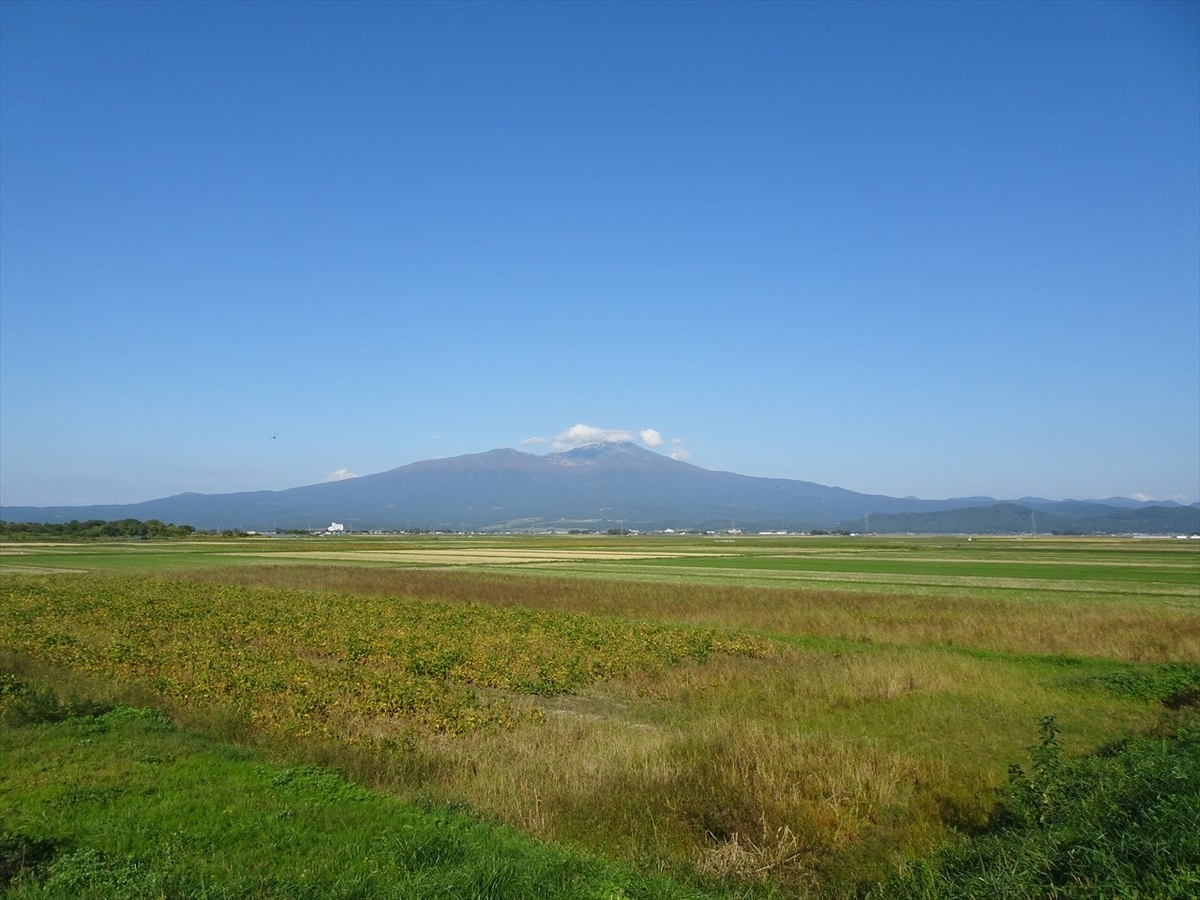 f:id:tachan_1994:20211010143631j:plain