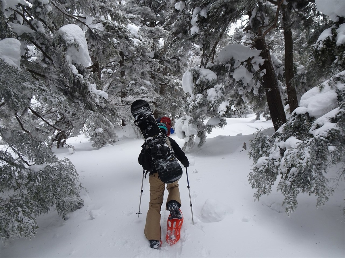 f:id:tachan_1994:20220302093126j:plain