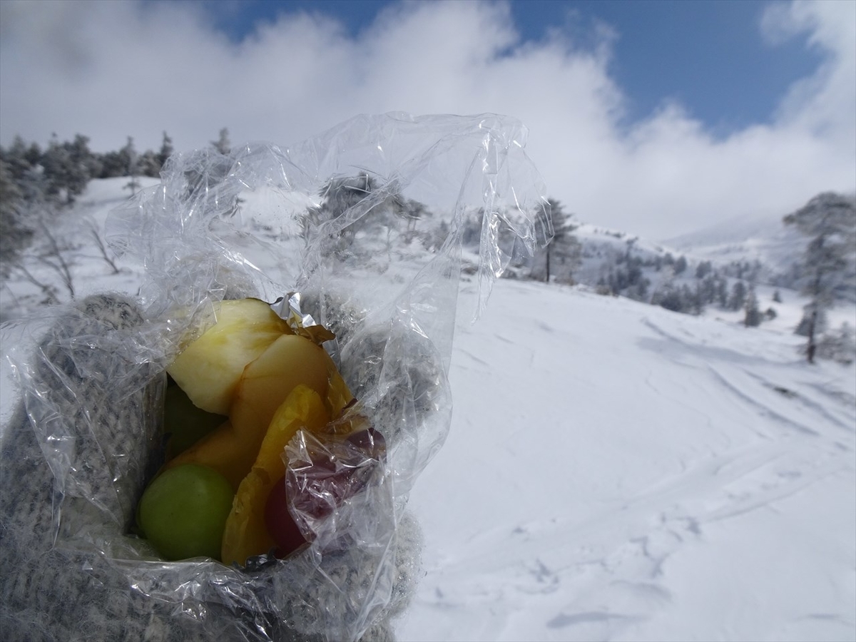 f:id:tachan_1994:20220302095133j:plain