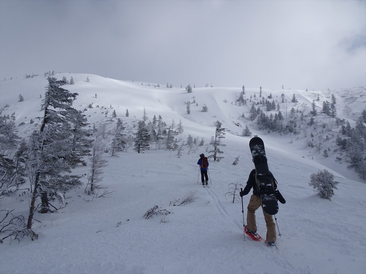 f:id:tachan_1994:20220302100702j:plain