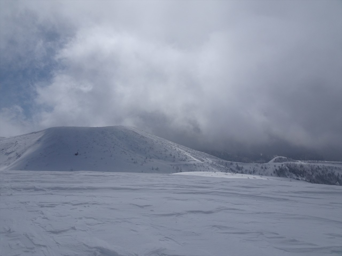 f:id:tachan_1994:20220302104456j:plain