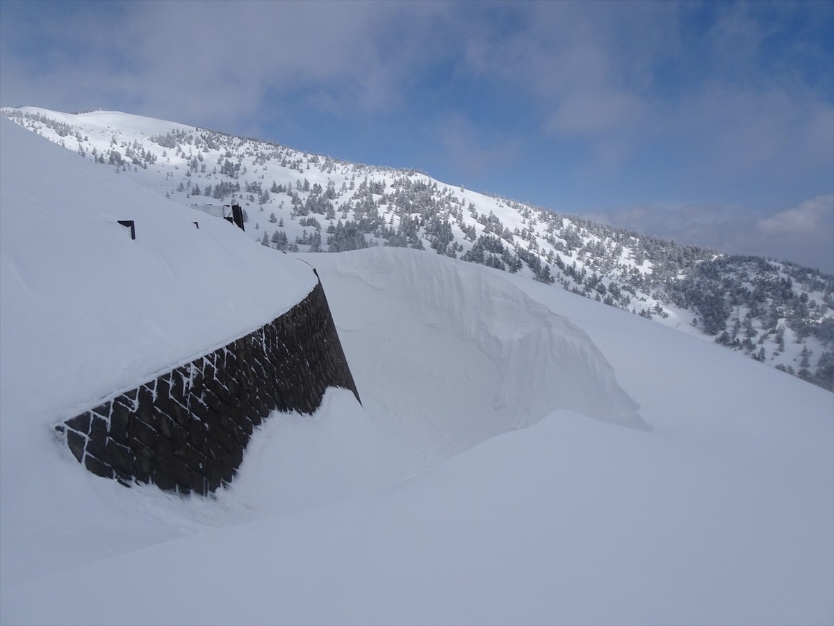 f:id:tachan_1994:20220302113720j:plain