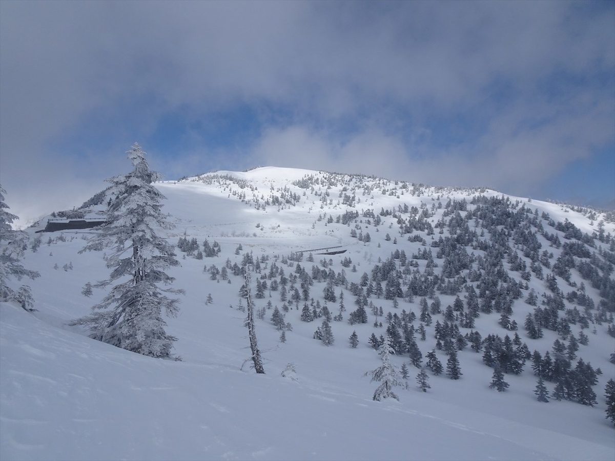 f:id:tachan_1994:20220302114308j:plain