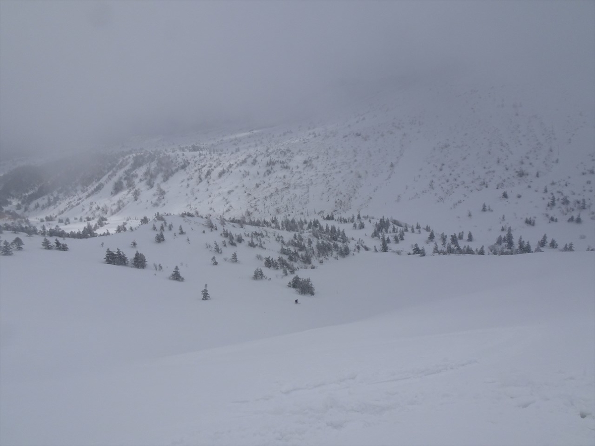 f:id:tachan_1994:20220302120748j:plain