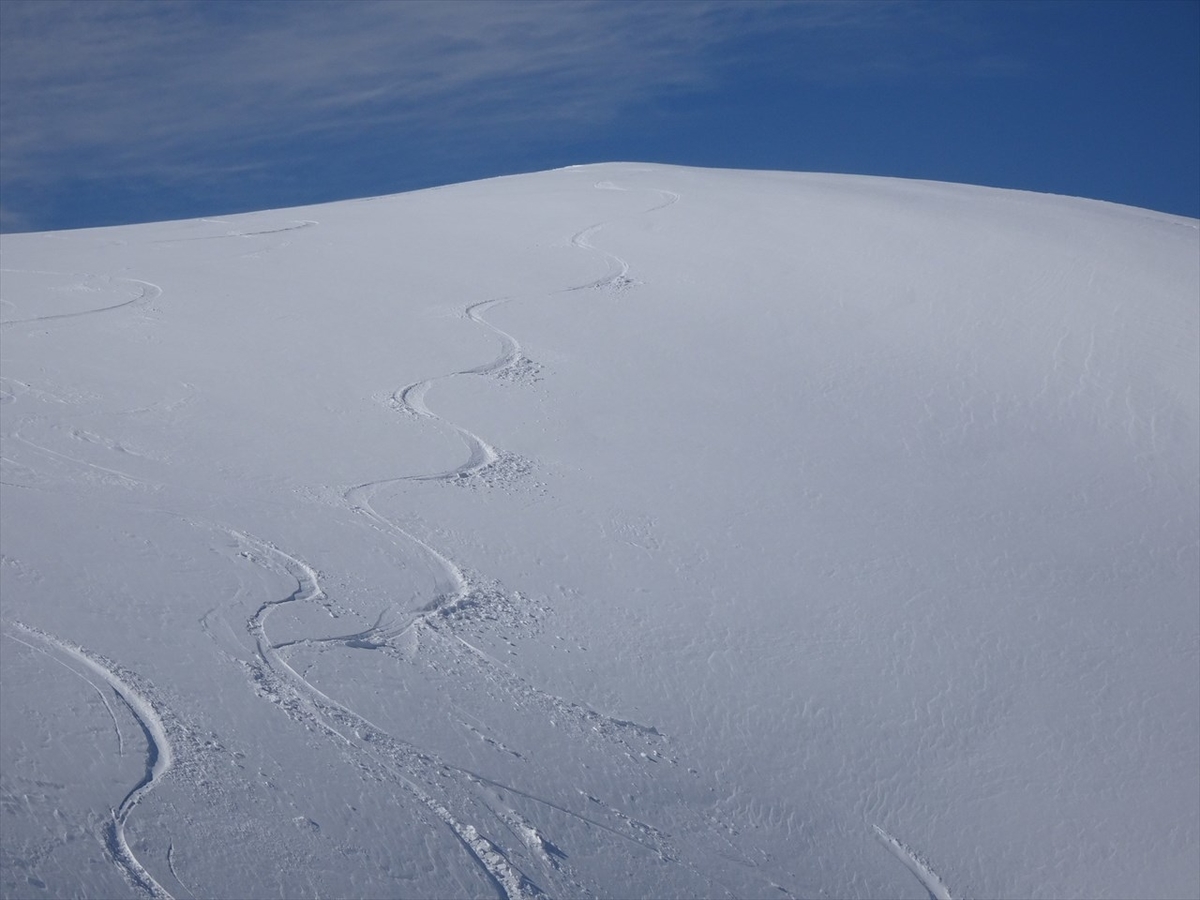 f:id:tachan_1994:20220302133636j:plain