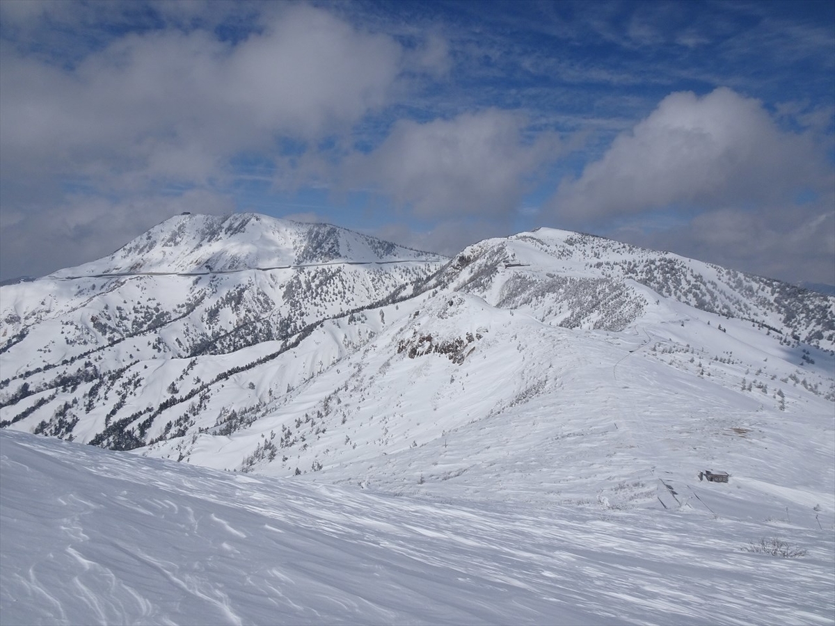 f:id:tachan_1994:20220302135027j:plain