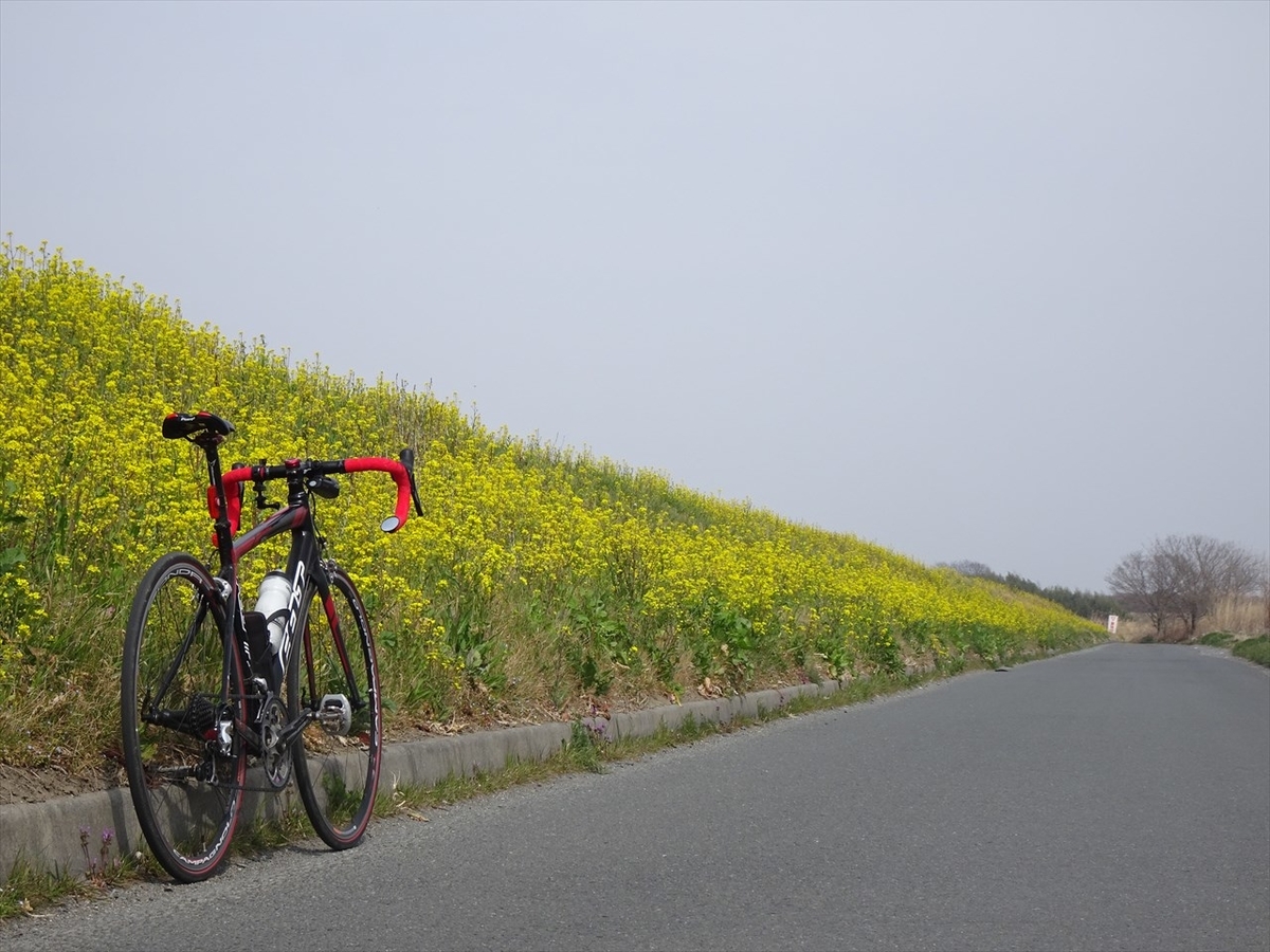 f:id:tachan_1994:20220313130709j:plain