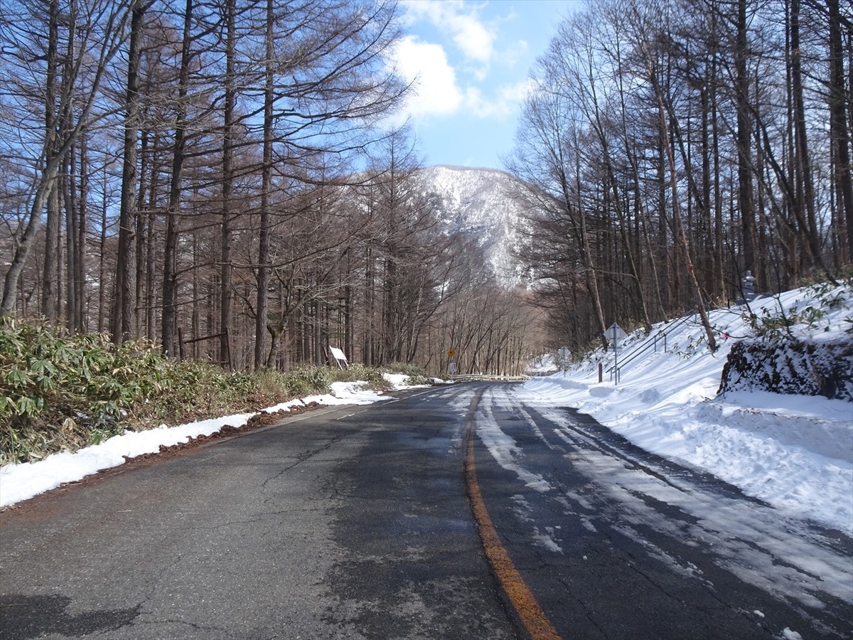 f:id:tachan_1994:20220402115217j:plain