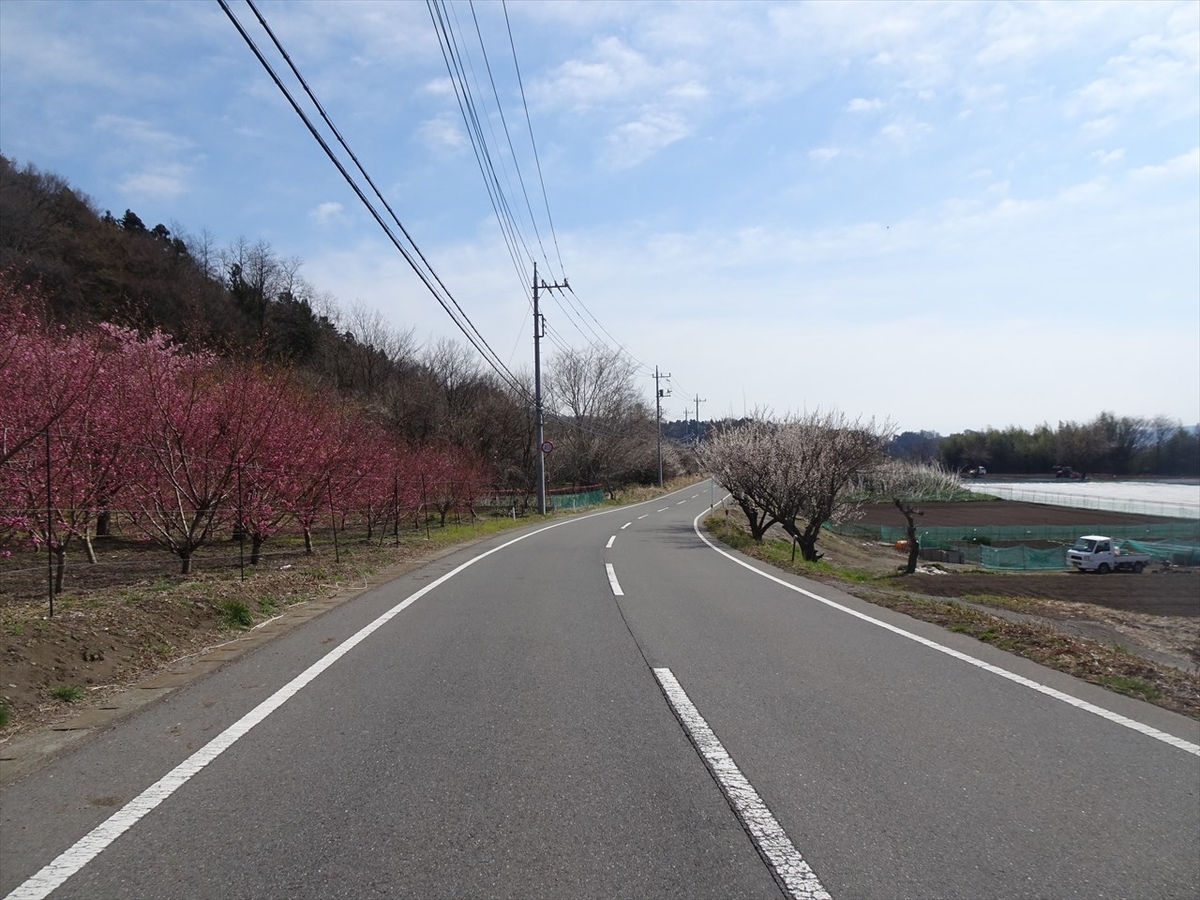 f:id:tachan_1994:20220402140254j:plain