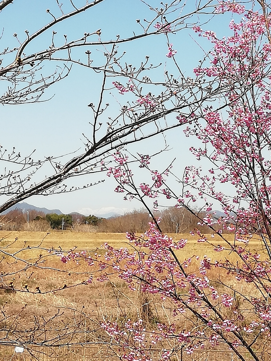 f:id:tachibanaaichi:20210318114436j:plain