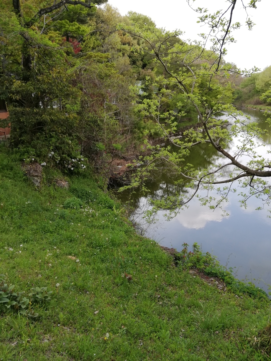 f:id:tachibanaaichi:20210409220711j:plain