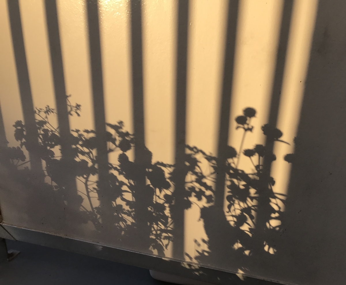 f:id:tachibananasu:20201220215456j:plain