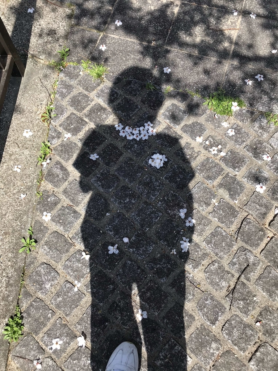 f:id:tachibananasu:20210327154510j:plain