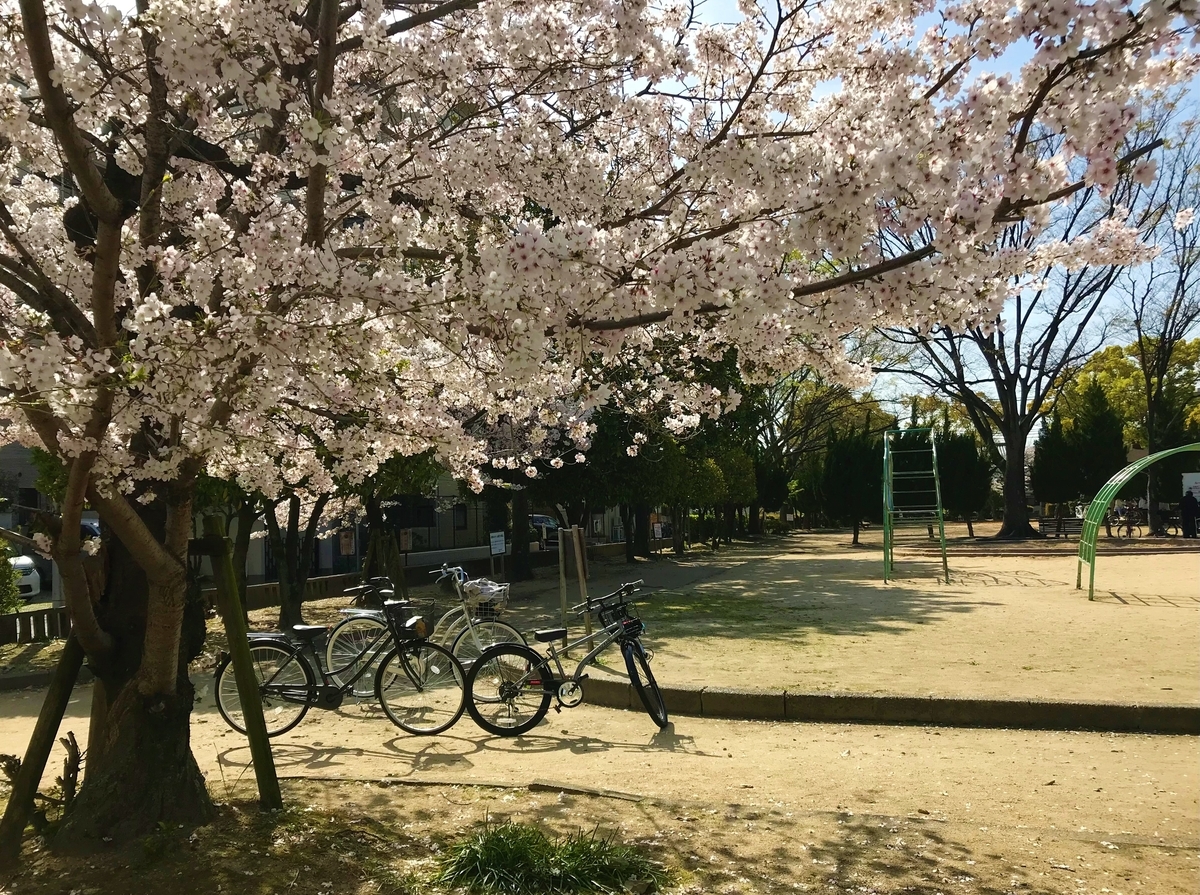 f:id:tachibananasu:20210331170709j:plain