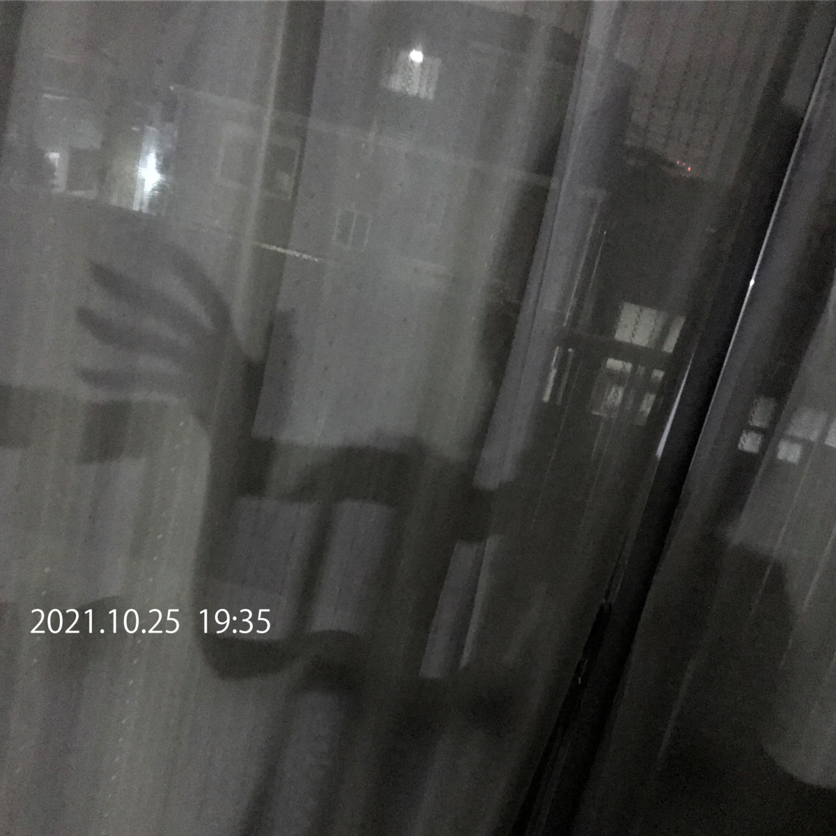 f:id:tachibananasu:20211025231729p:plain