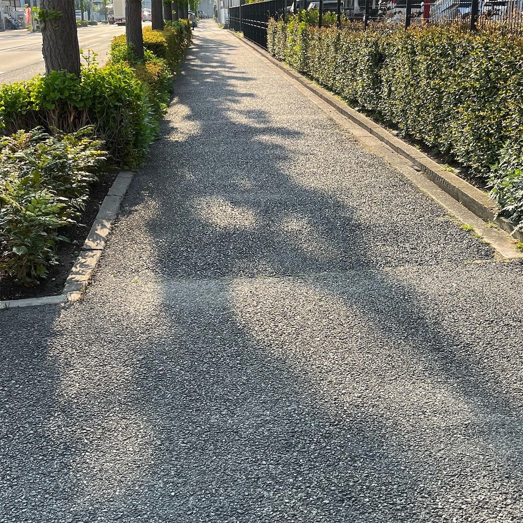 f:id:tachibananasu:20220420112750j:image