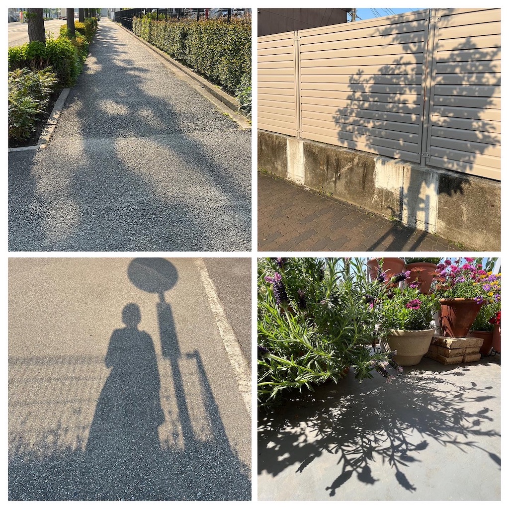 f:id:tachibananasu:20220420112757j:image