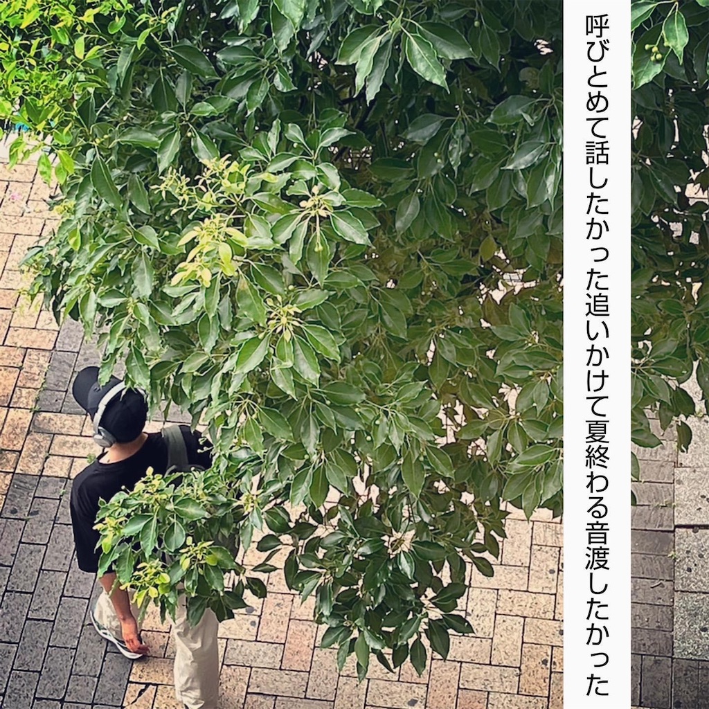 f:id:tachibananasu:20220823001307j:image