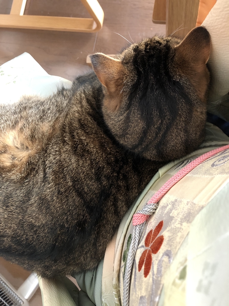 f:id:tachibanasuma:20190127173111j:plain
