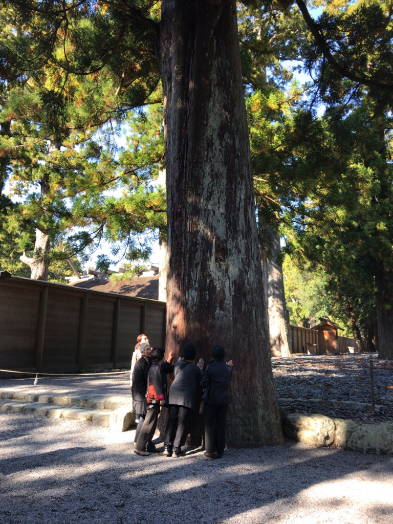 f:id:tachibanaya-shop:20161112162653j:plain