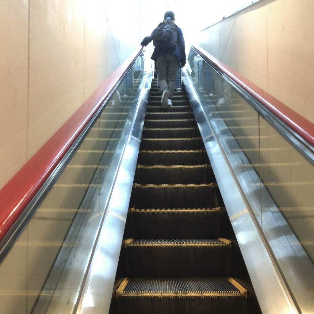 f:id:tachibanaya-shop:20170415155545j:plain