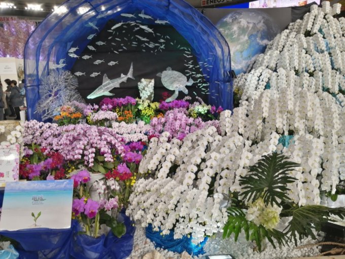 世界らん展2020 購入したもの・撮った写真を列挙。 - Atsuta Bar