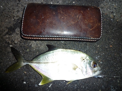 f:id:tachitetsu:20141101050048j:image f:id:tachitetsu:20141101050048j:image