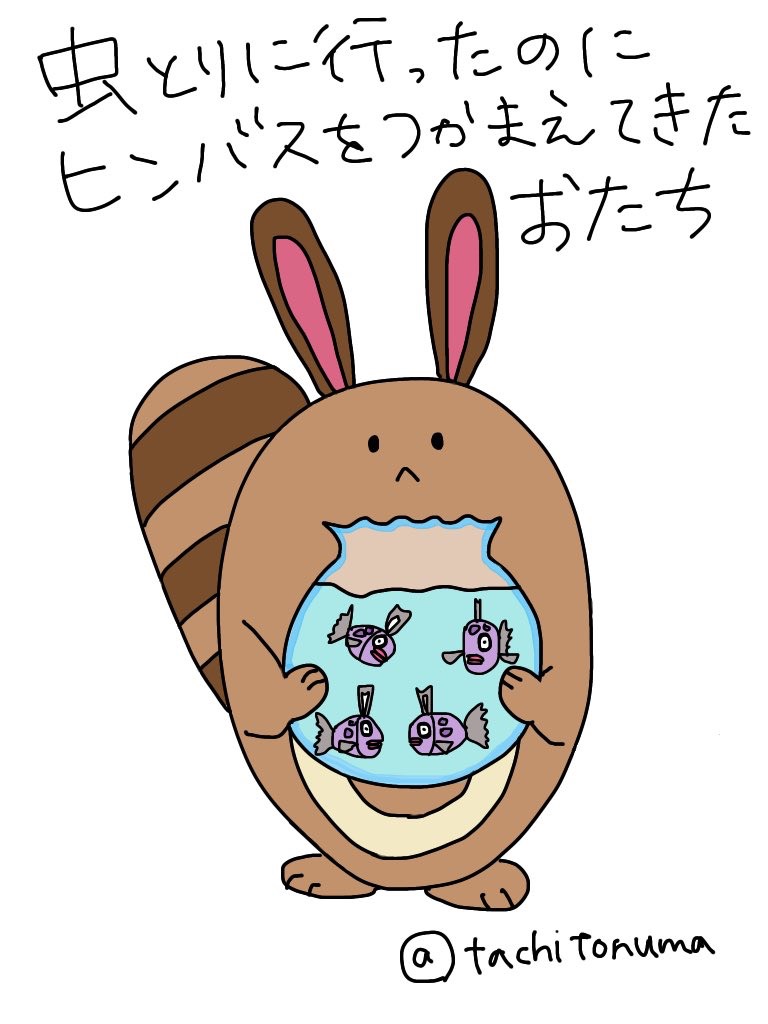 相棒と一緒にポケモンgo 結果発表 世界をたびするたちとぬま
