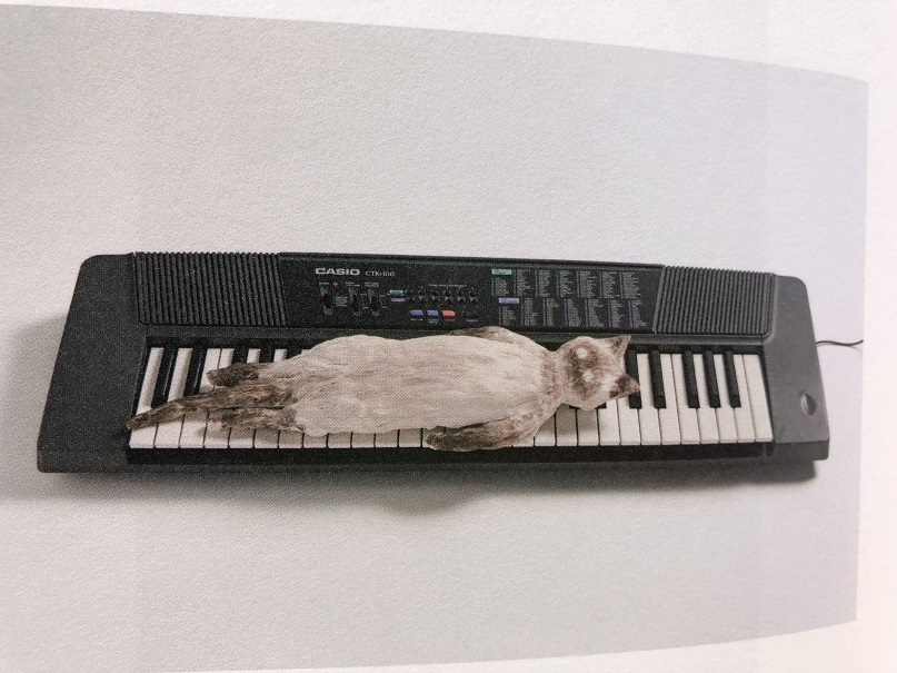 f:id:tacky-booklog:20190317014902j:plain f:id:tacky-booklog:20190317014902j:plain