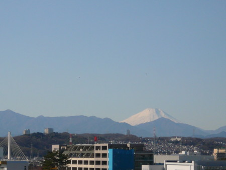 f:id:tacochu:20090101102323j:image f:id:tacochu:20090101102323j:image