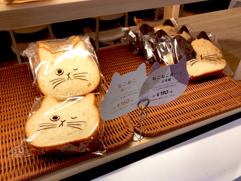 f:id:tacokun:20201019163641j:plain