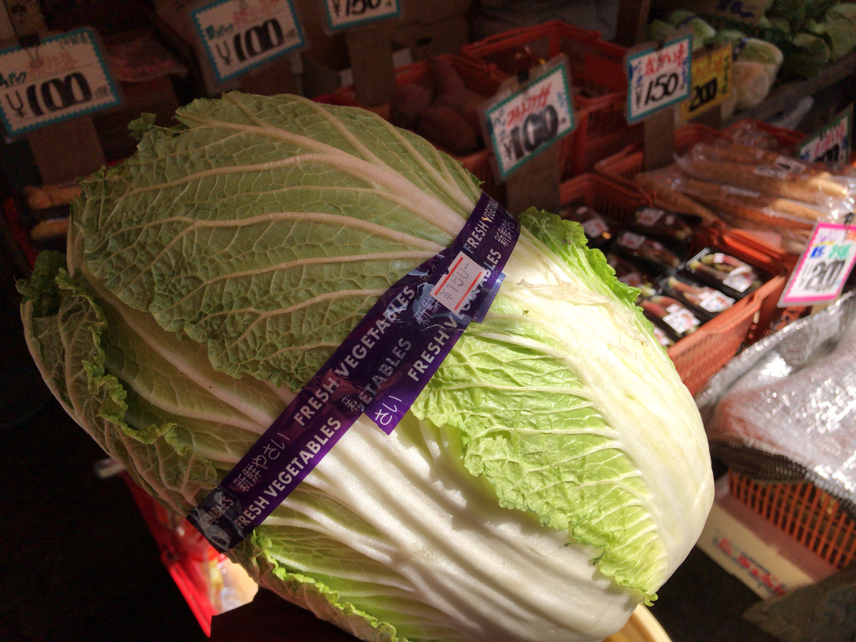 f:id:tacokun:20210227124039j:plain