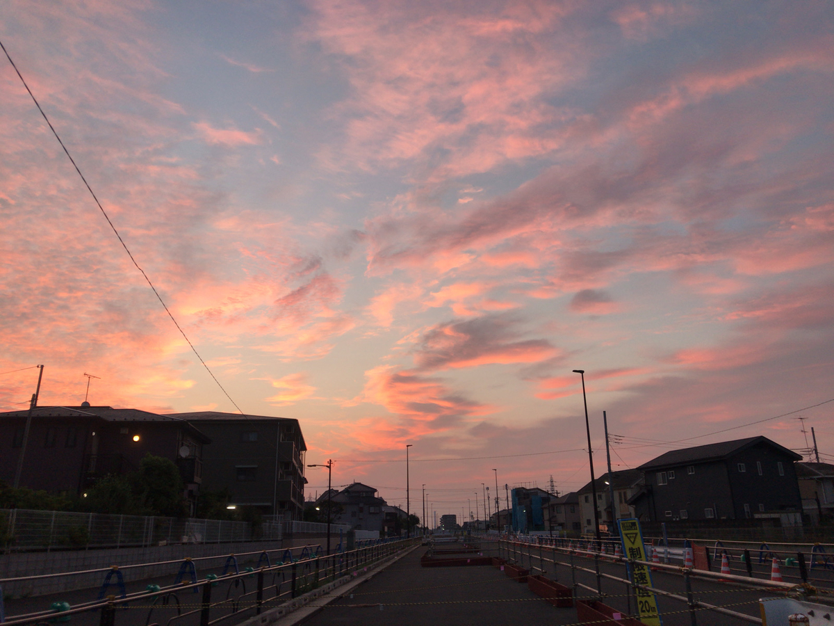 f:id:tacokun:20210525042133j:plain