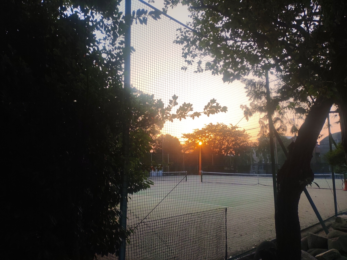 f:id:tacokun:20210608045728j:plain