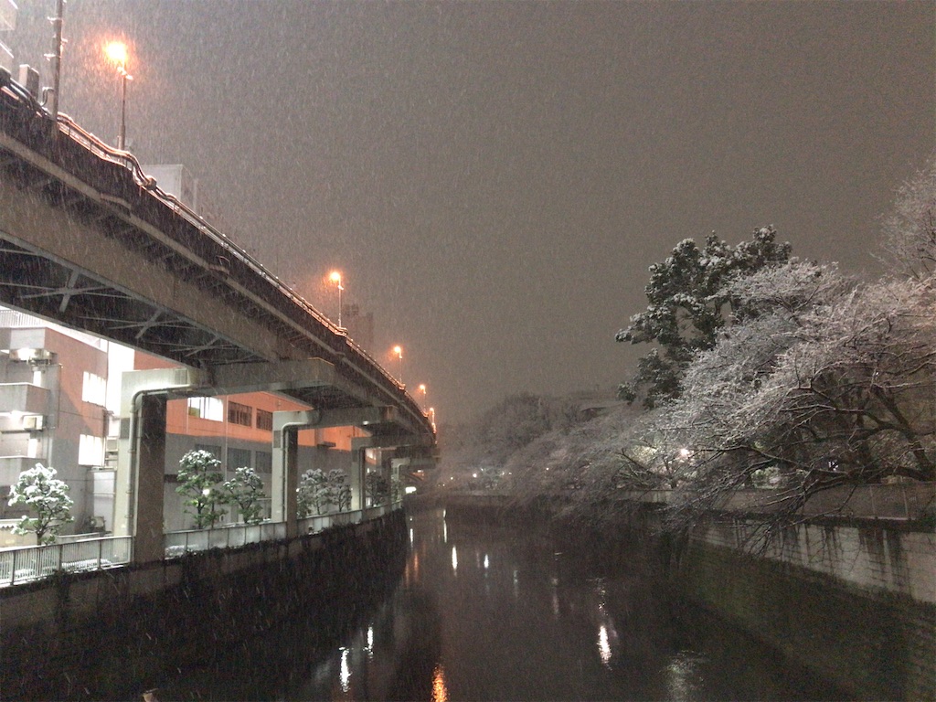 f:id:tacokun:20220107072757j:image