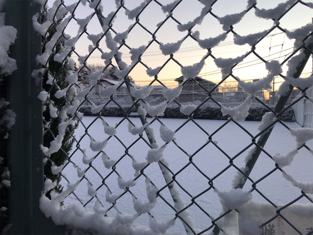 f:id:tacokun:20220107073139j:image