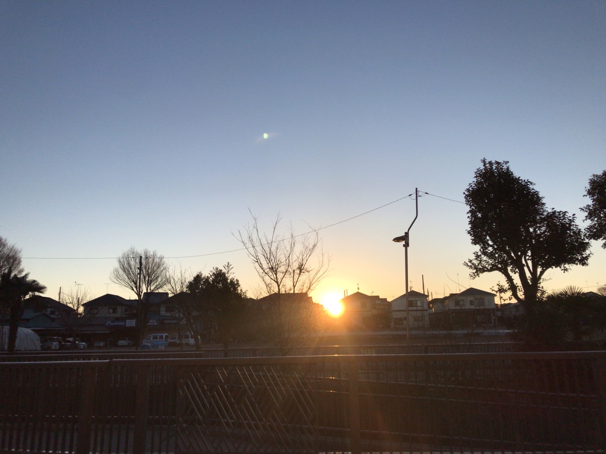 f:id:tacokun:20220227052426j:plain