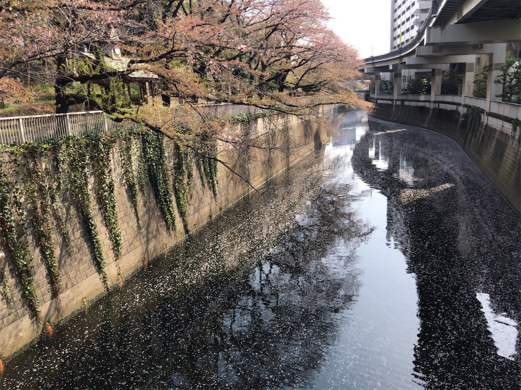 f:id:tacokun:20220407123619j:image